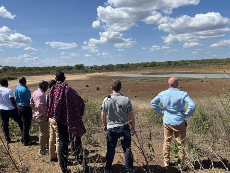 WhatsApp Image 2026-01-21 at 22.24.13 (1)